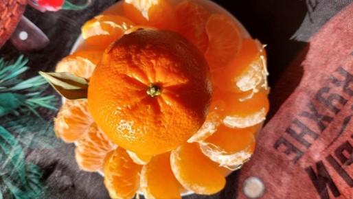 ����� ������ ����