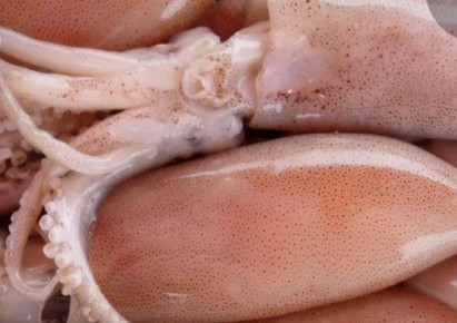 ������������� �������: ������ ����������� �� ������ ������