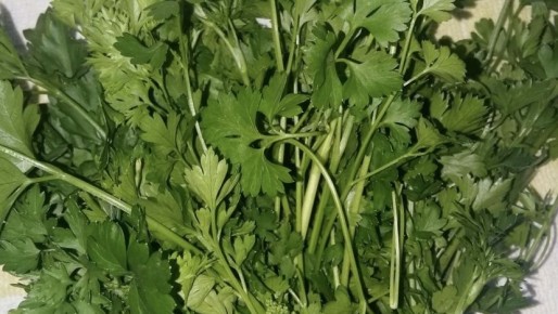 ��� ������� ���������� � 60 ���: ������� ������ � �������� ��������