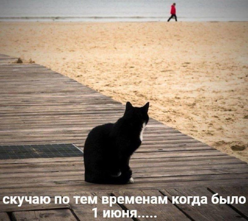 ���������� �����������: ���� � ��������� ������