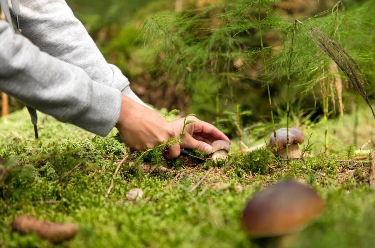 ��� �������� ����� ����� ��������� ������ ������ � ������� �������� �������� ���������