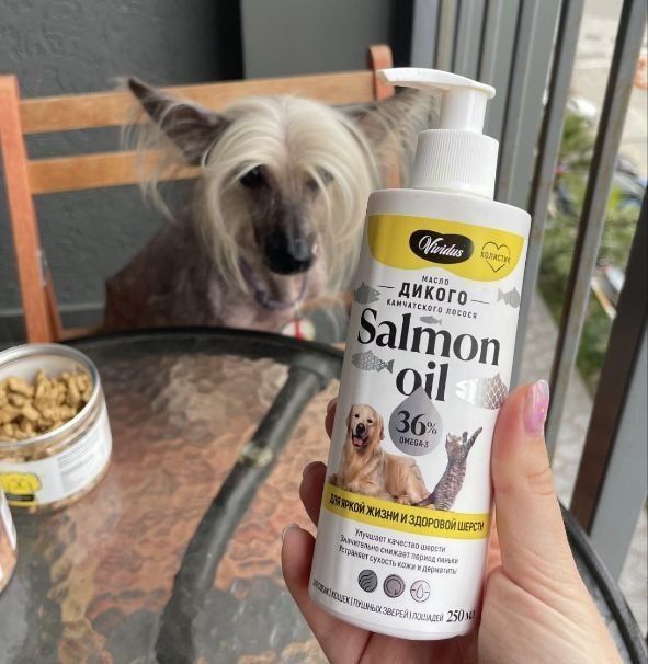 ������������ ����� ������ ������ ��� �������������� ��������