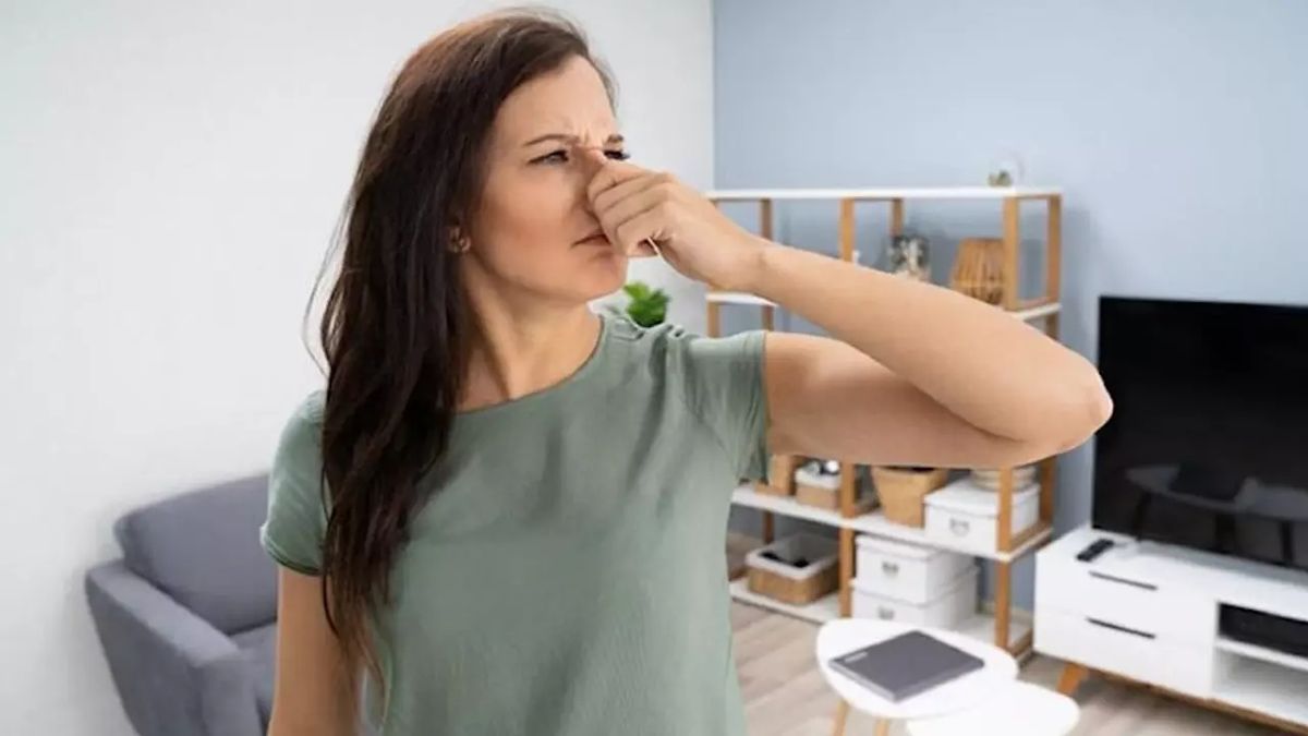 Как избавиться от затхлого запаха в квартире: простые и эффективные советы