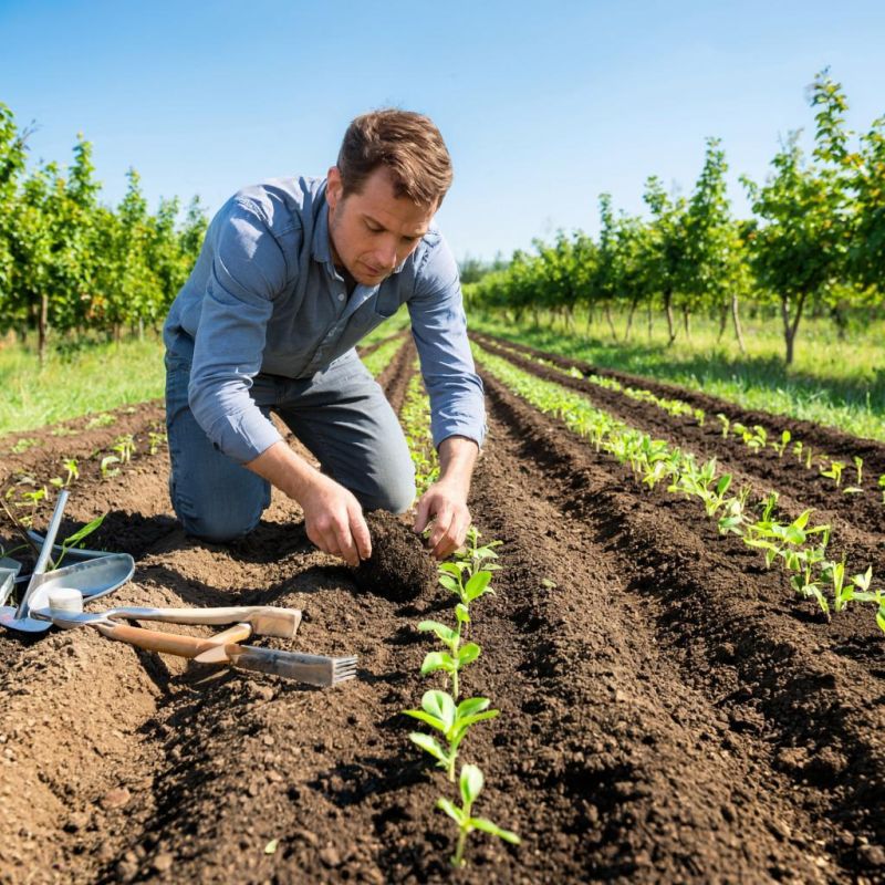 �������� ����������� ������ ��� ������������ ������