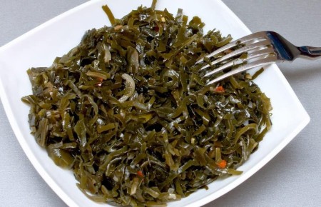 Морская капуста: почему это растение завоевывает мир?