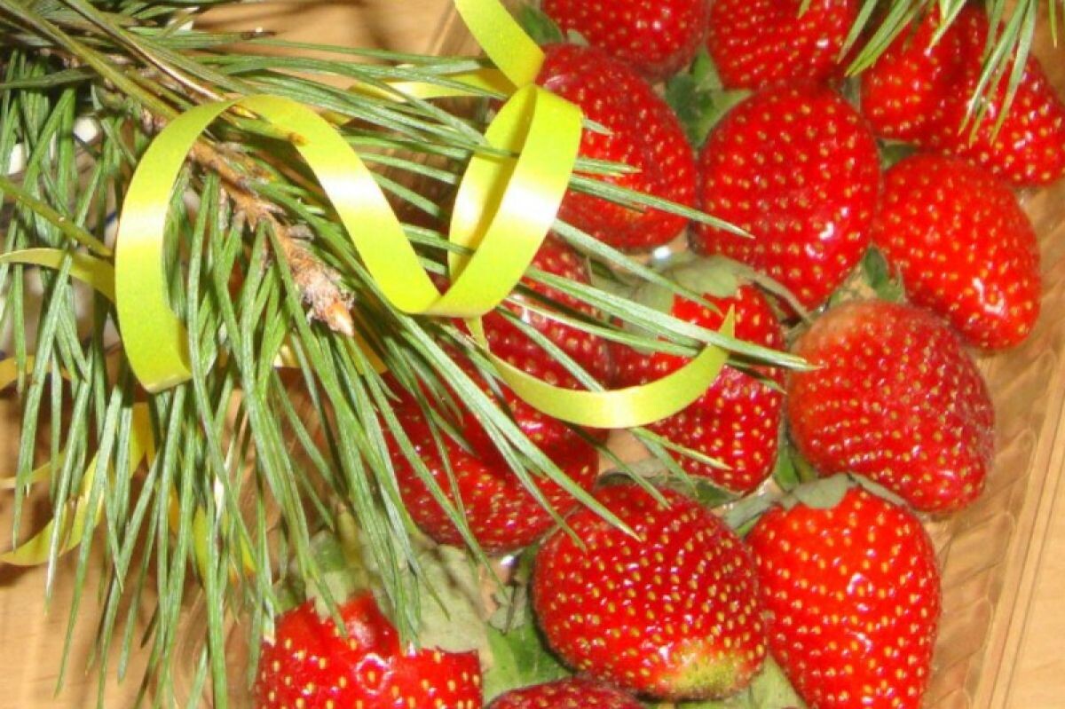 Год Красной Огненной Лошади: как встретить его с удачей и стилем