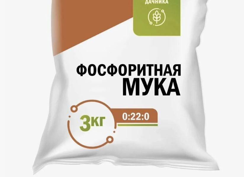 ����������� ����: ������� ������ �������� �������������