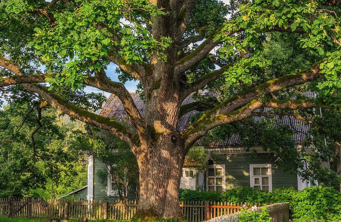 ��������� ������ � ����: ��� ��� ������ ������ �� ������ ������