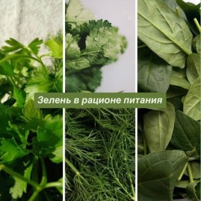 Почему зелень в повседневном рационе полезнее кажется на первый взгляд