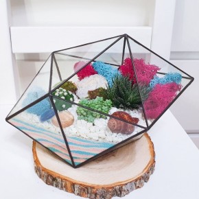 Как собрать идеальный флорариум: что нужно знать о материалах и магазинах