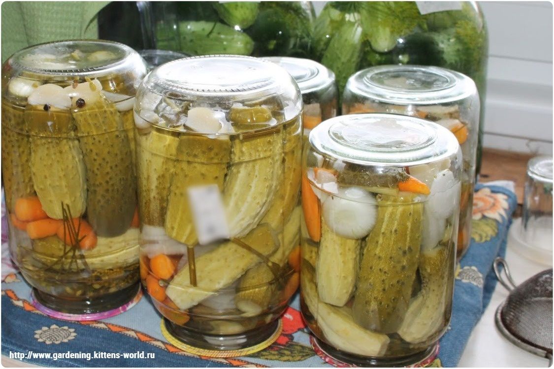 ��� ������� ��������� ������ � ��������: ������ ��������� ������� �� ����