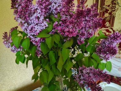 Праздничное меню для шашлыка на 9 мая: что приготовить?