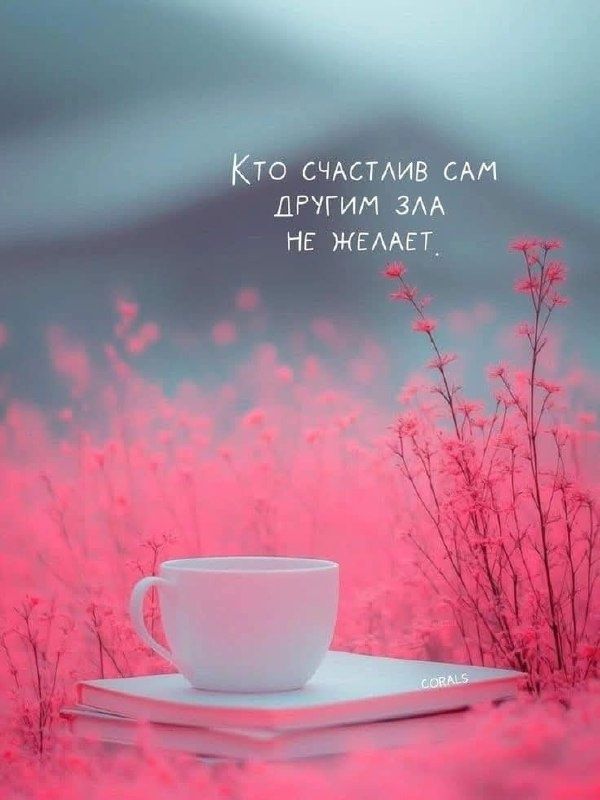 Расширяем горизонты: интересные каналы для всех