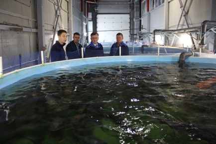 Форелеводство: как государственная поддержка создает новые возможности