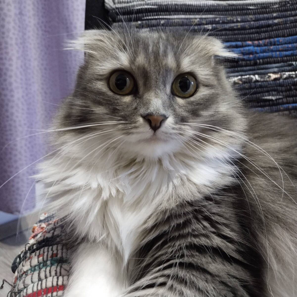 Как выбрать и приготовить рыбу: советы для гурманов