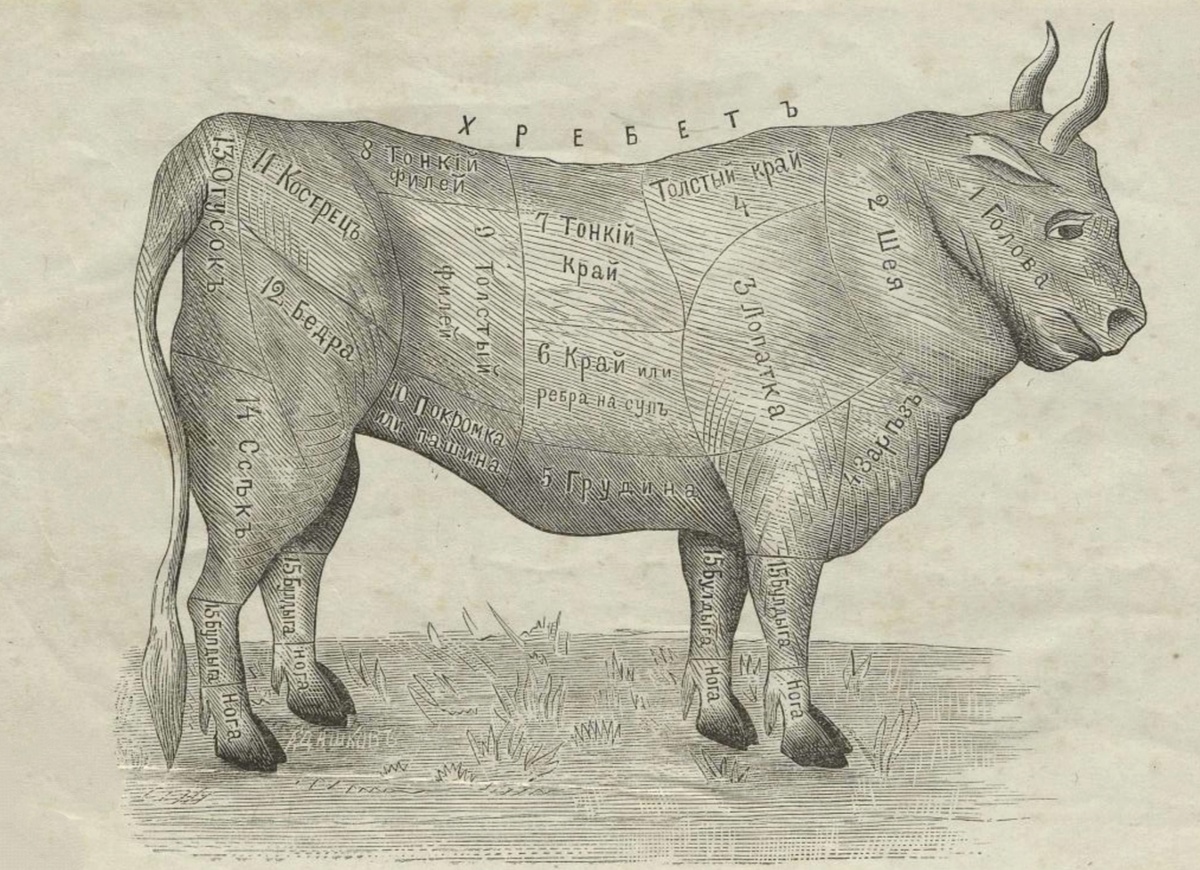Иерархия мяса на дореволюционной кухне: от телят до быков
