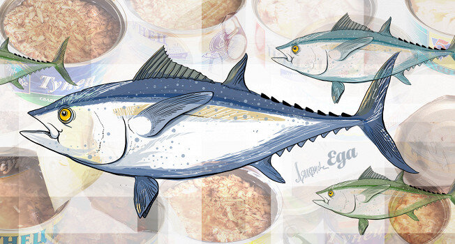 Ревизия консервированного тунца: что скрывается за доступной ценой