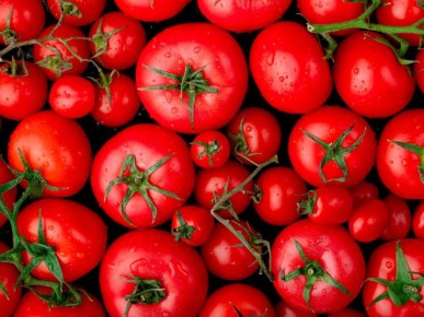 ���� �� �������� � �������� �������: ��� ������� � 2026 ����