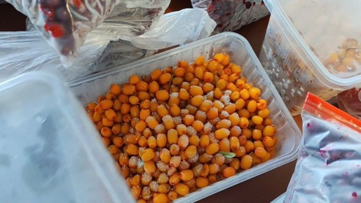 Как использовать замороженные ягоды и готовиться к новому сезону