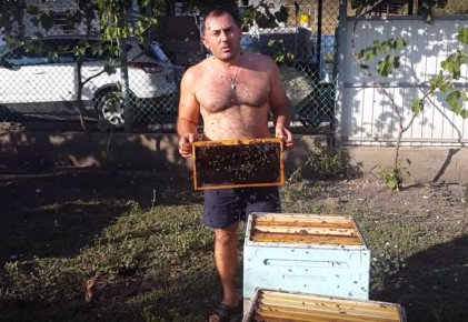 Как создать идеальную домашнюю пасеку и получать мед в удовольствие