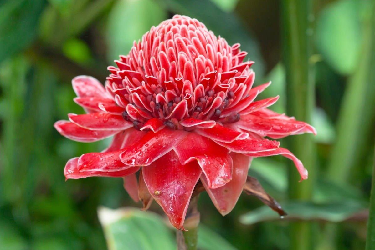 ������: ����������� �������� � ����������