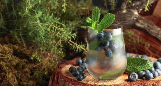 ���� �� ������: ������ �� �������� ����� � ������������