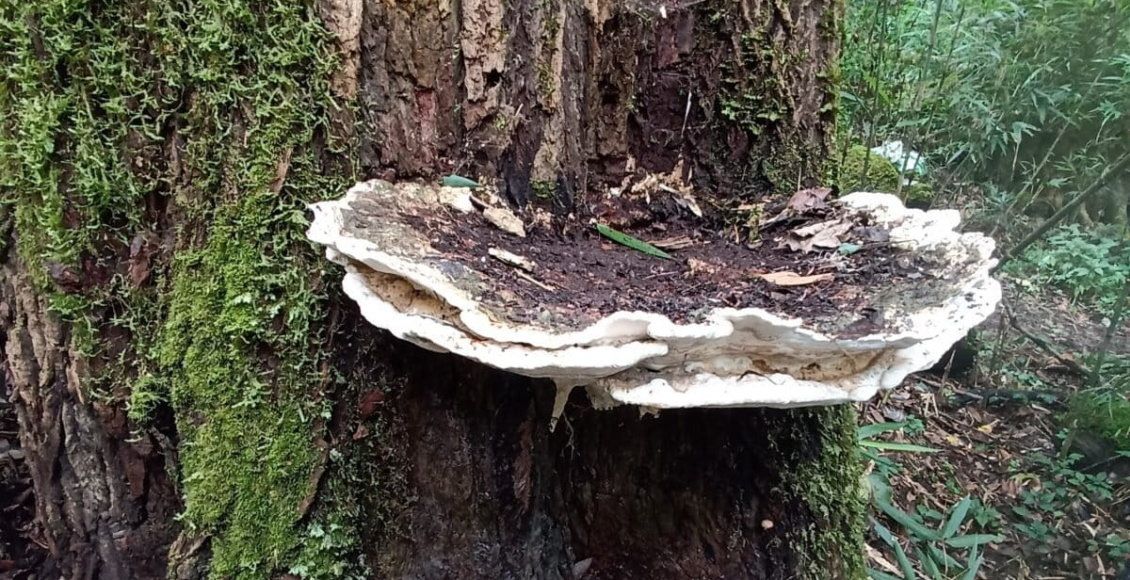 ��������� ���� ����� �������� ����� ���������� ����