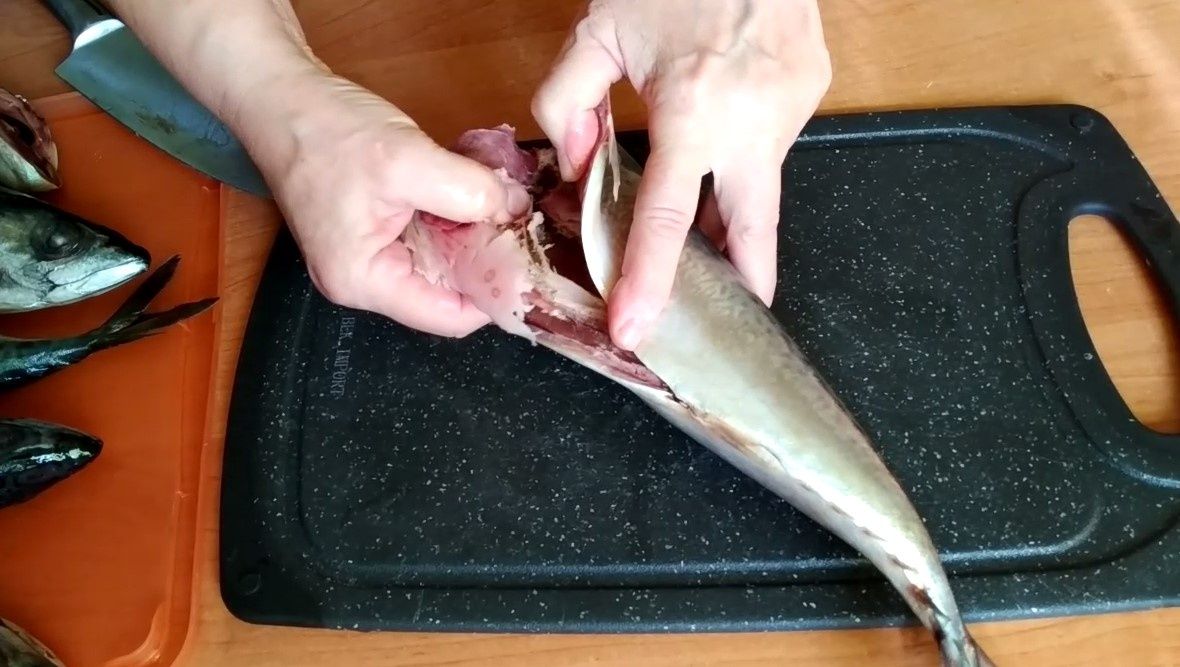 ������� ��������� �������� �������� � �������� ��������