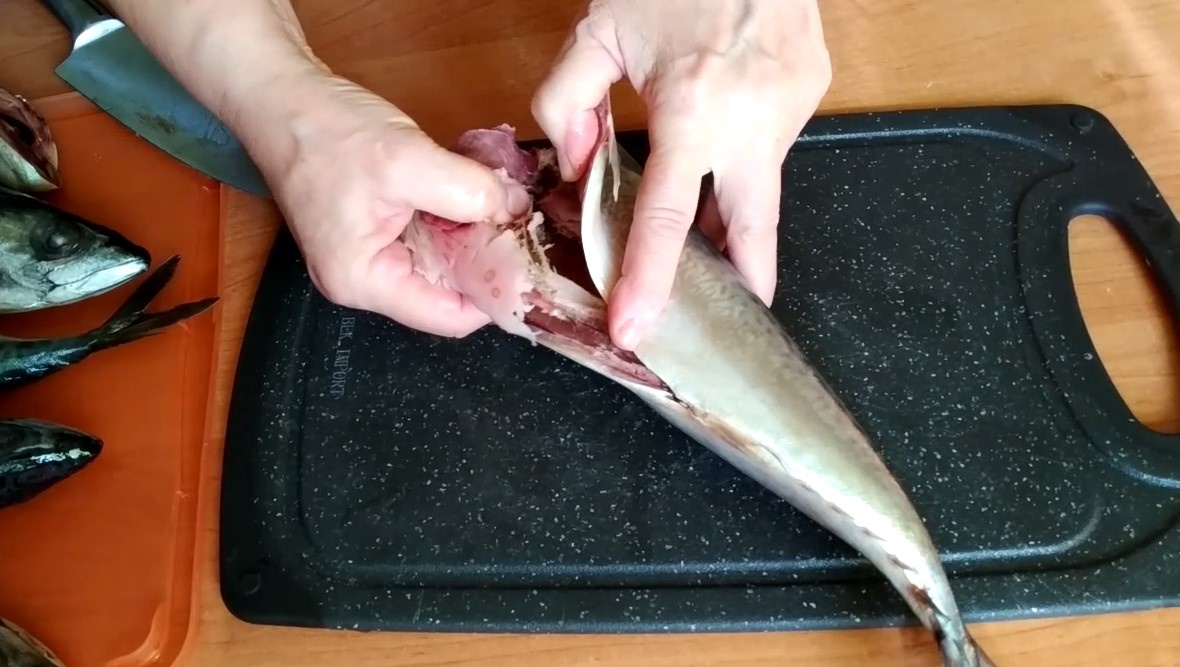 Секреты холодного копчения скумбрии в домашних условиях