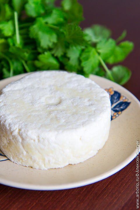 ��� ����� ����������� ������ ��� ����� ����� �� �������