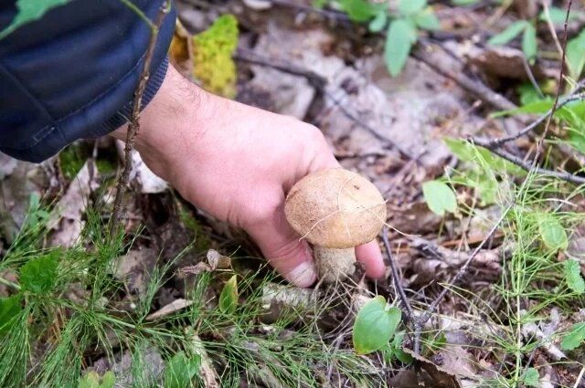 ��� ��������� �������� � �������� �����: ������ ���������