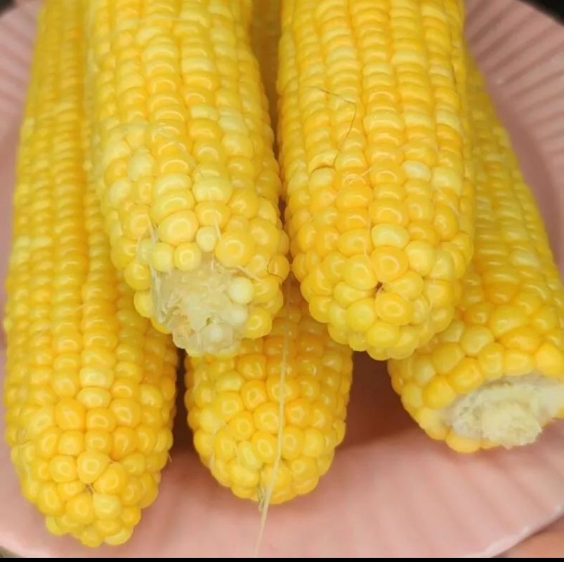 ��� ����������� ��������� ��������: ������� ������ ��� ��������