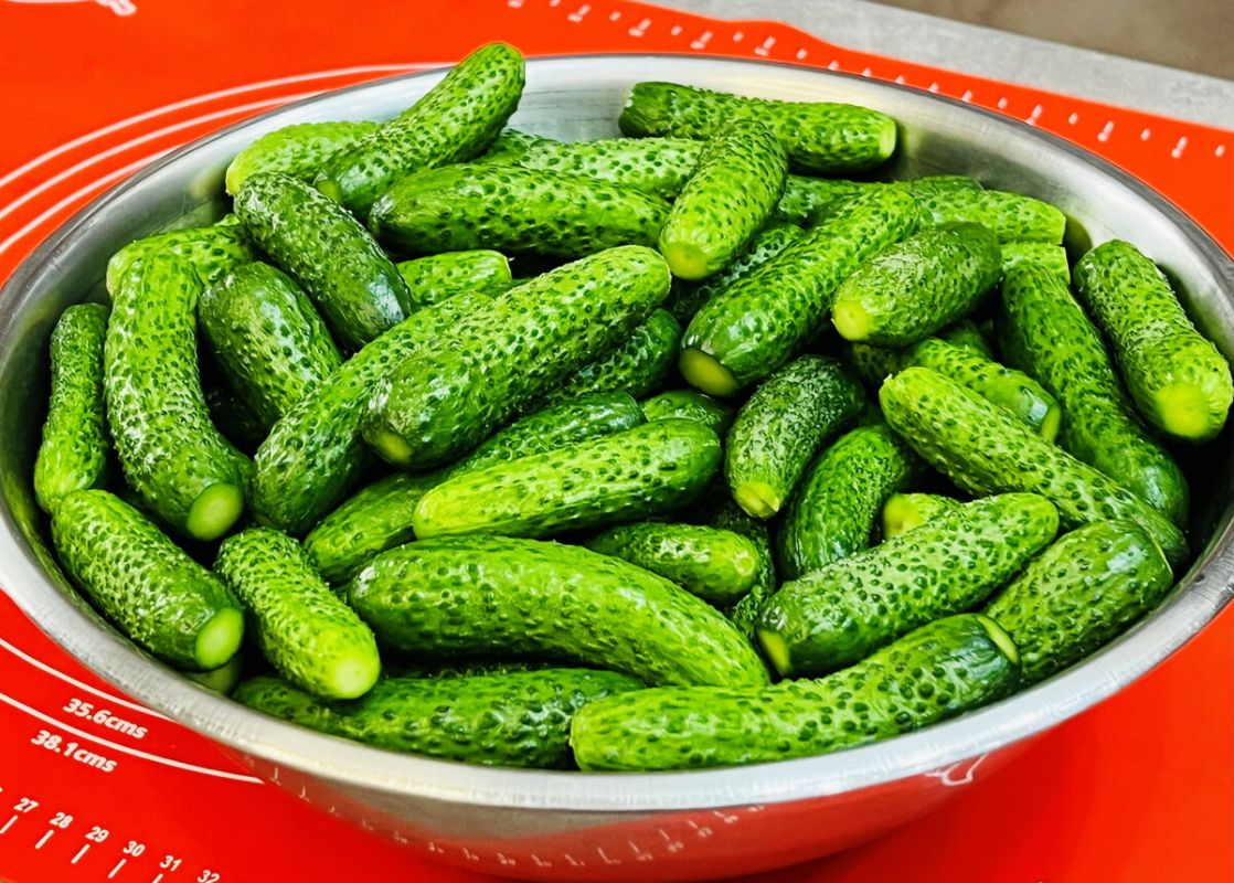 ��� ����������� ������������ ������ ��� ������: ������� � ������� ������