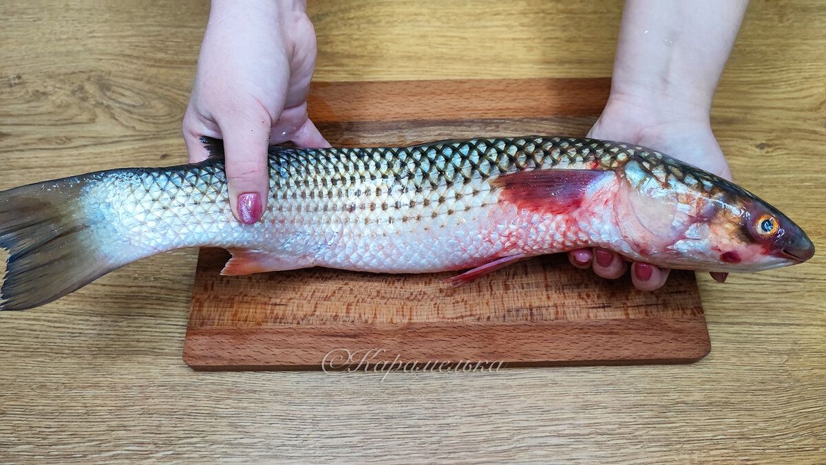 ������ ������ � ��������� �����: ������ � ������ ��� ���� �����