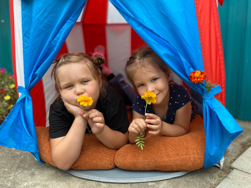 ������ ����������� �� �����: ��� ������� ����� ���-��������