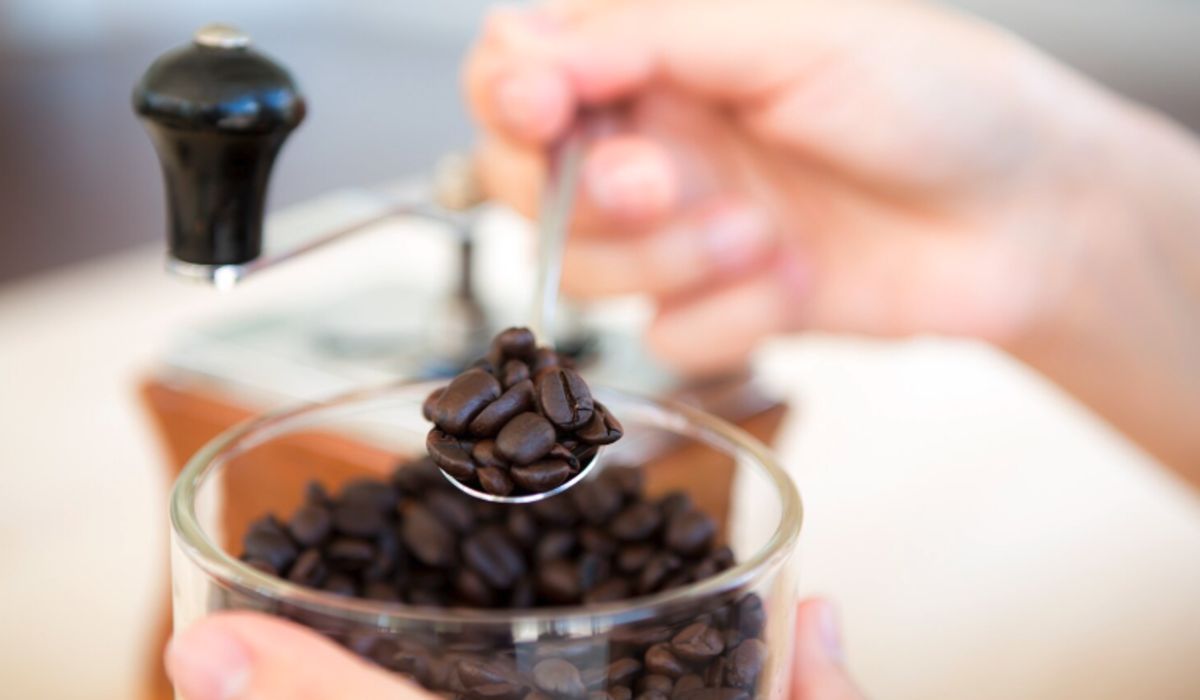 ��������� ���� ����: ��� ��������� ���������� ���� �����������