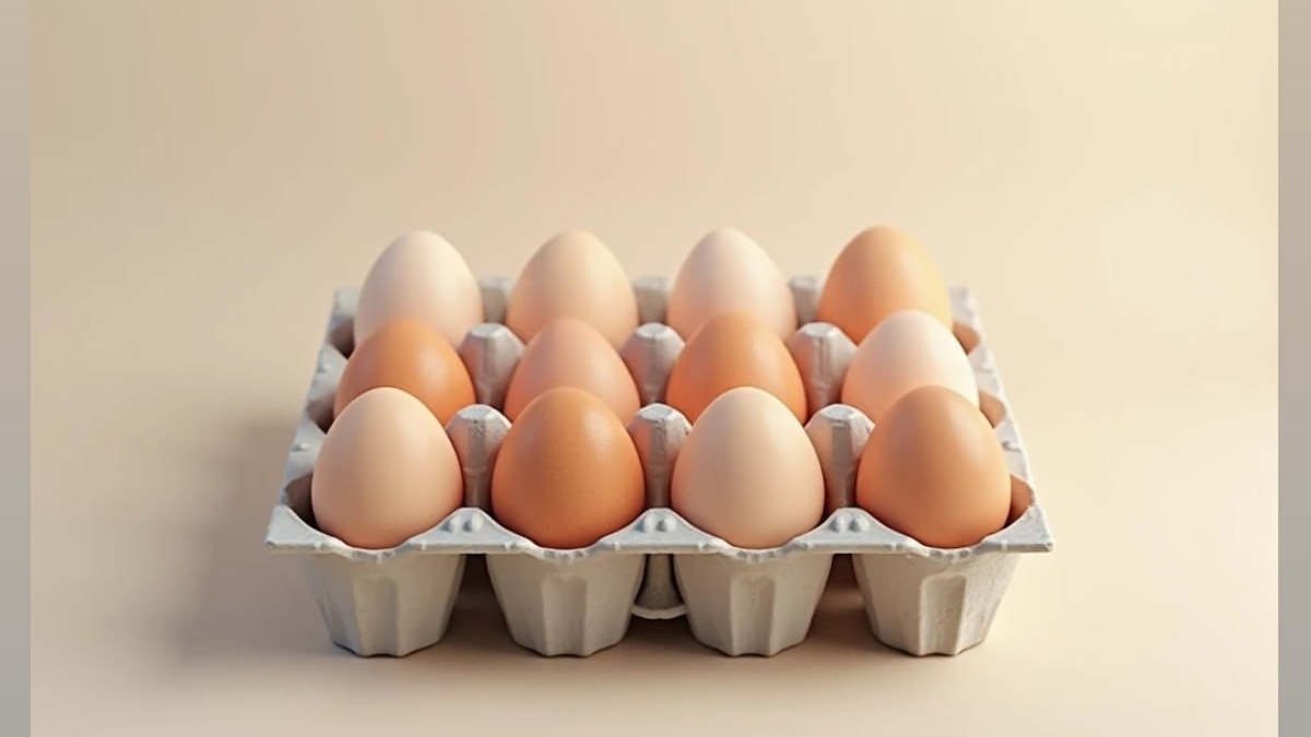 Разоблачаем мифы о варке яиц: как выбрать лучший метод