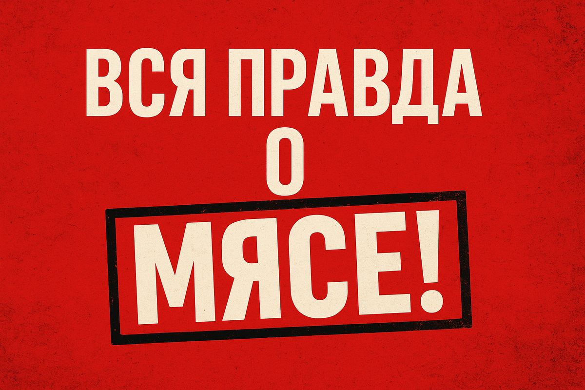 ������� ������� ������� �������: ��� ������ �� �����, ����� �� �����