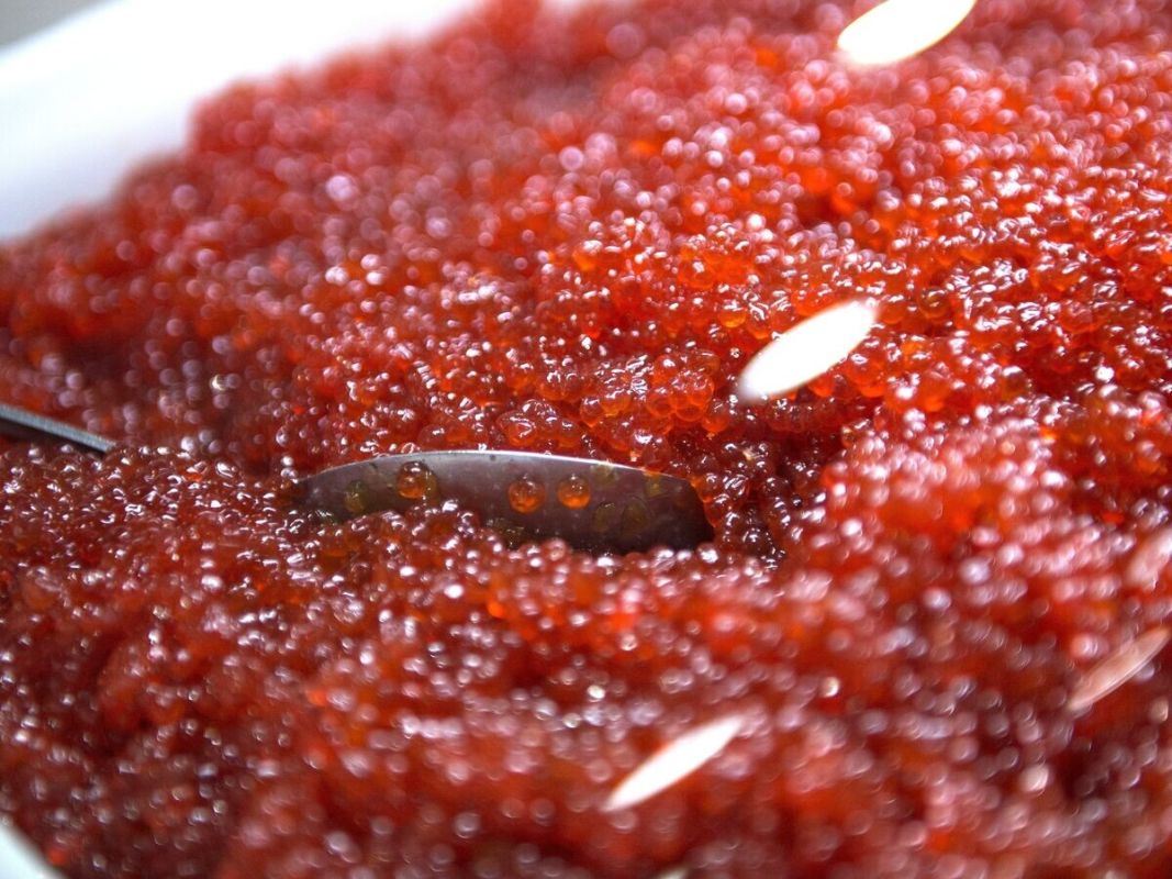 ������� �������� ������� ����: ������ �� ��������������