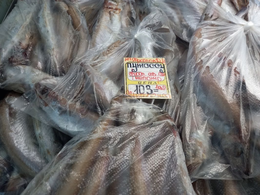 ������� ����: ��� ����� ������ ������� �� �����?