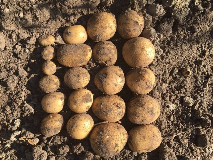 ��������� ���������: ��������� ����� ��� ������ �������