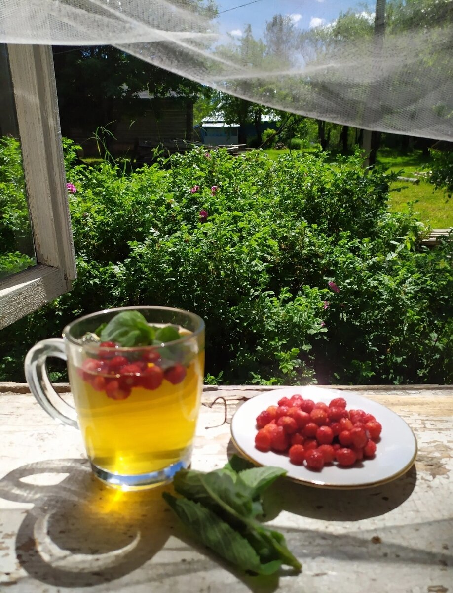 Как приготовить ароматный мятно-земляничный чай для летнего наслаждения