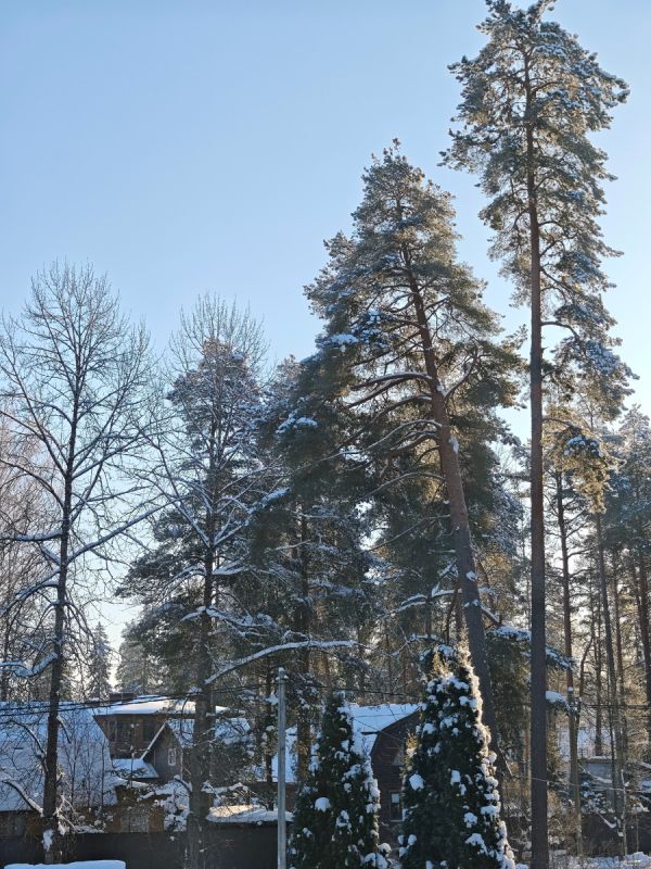 ��� ��������� �������� ���� � �������� ���� � ��������� ���������