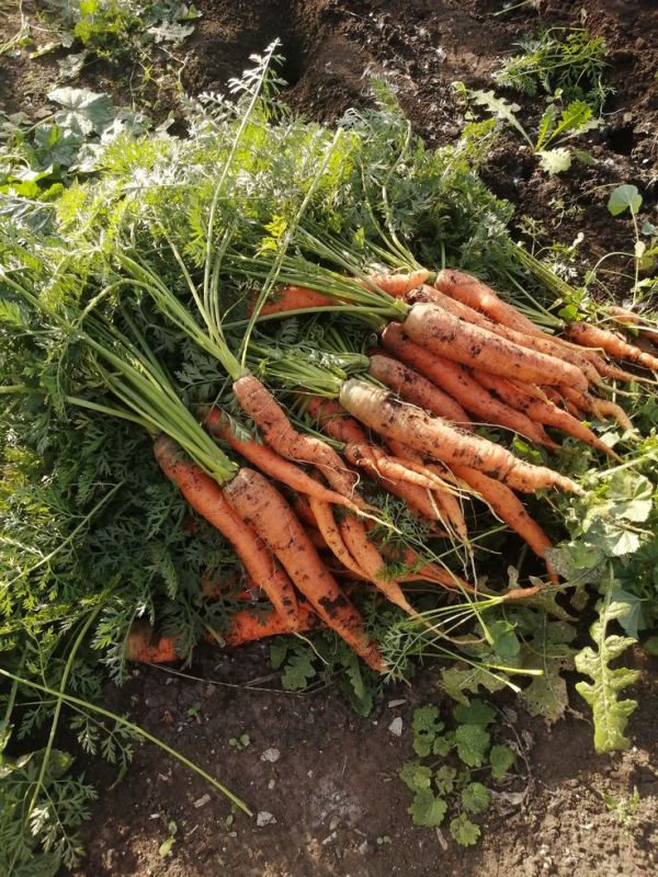 �������: ��������� �������� ��� �������� ������ ������ � ���������