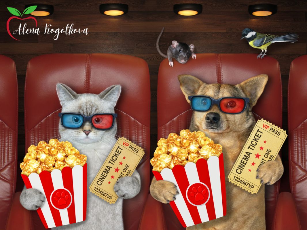 ��� �������� �������� �����: ������������ ��������� ���������