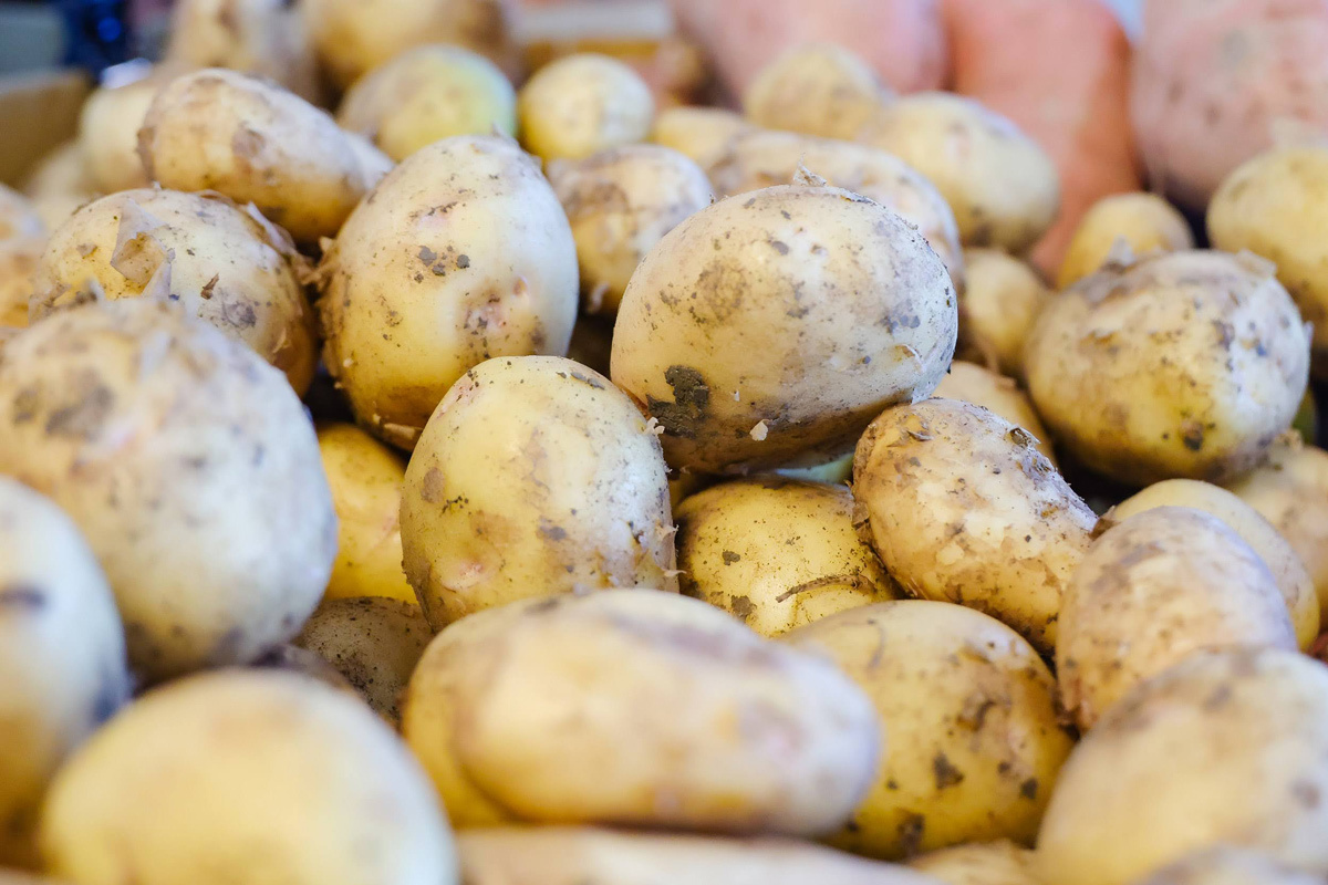 Тревожные находки в Гродно: магазины с дефицитом продуктов и нарушениями