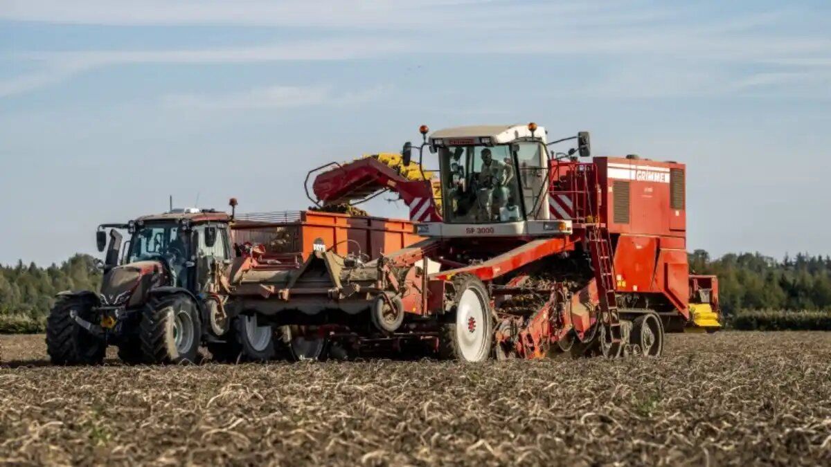 ��������� ������ ��������� � ���� � �����������: ����� ���������� ��������