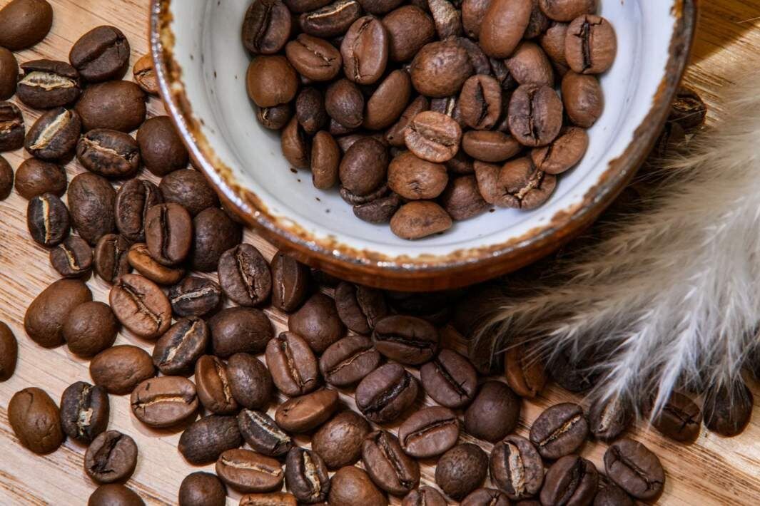 �������� ����������: ����� ����� ��� ���������� ������������ ����