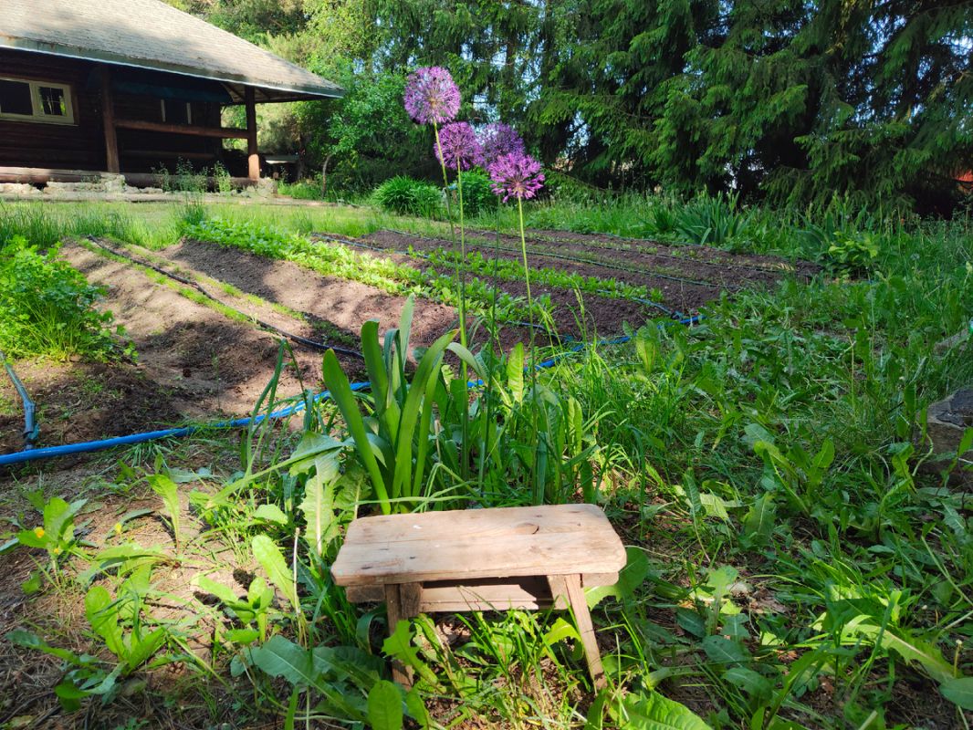 Собственная скамеечка и меню на три дня
