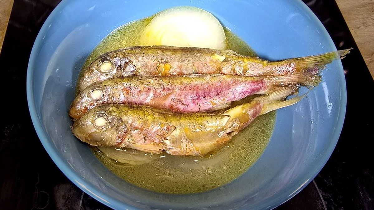 ����� ��-�����������: ������� �������� ���������